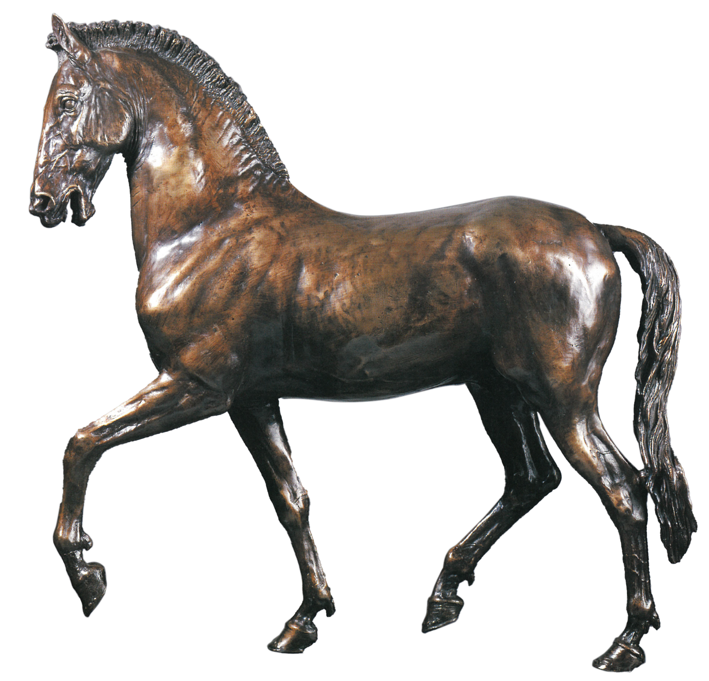 古代⻢ Cavalli anticch